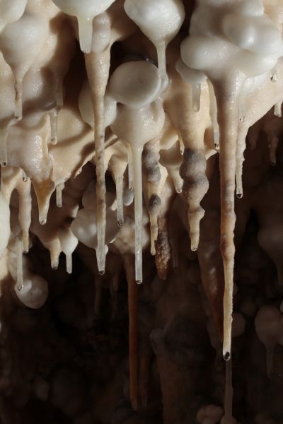 Concrétions de la grotte de Foissac : les bulles